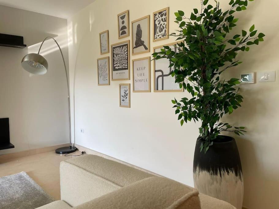 3-bedroom In Festival Cairo